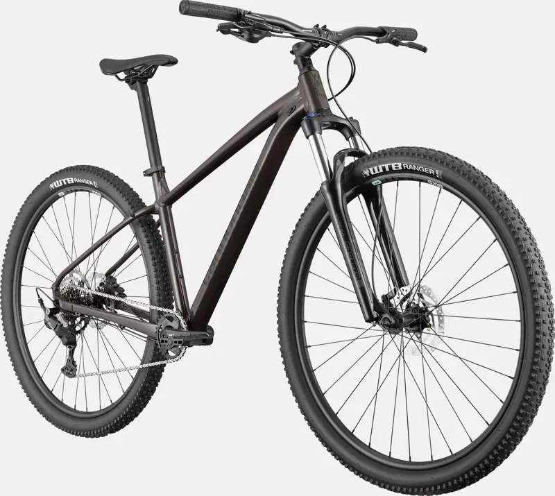 Cannondale Trail 6 Trail Bike in Smoke Black-1