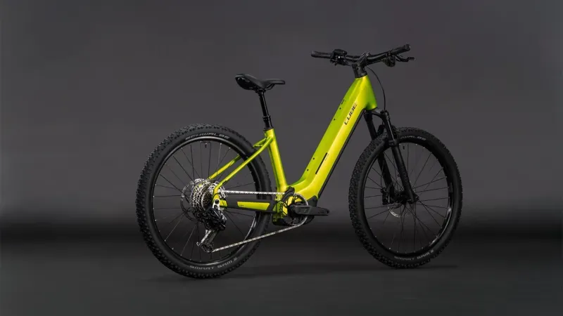 Cube Reaction Hybrid Race 800 E-MTB in Lizard/Black-5