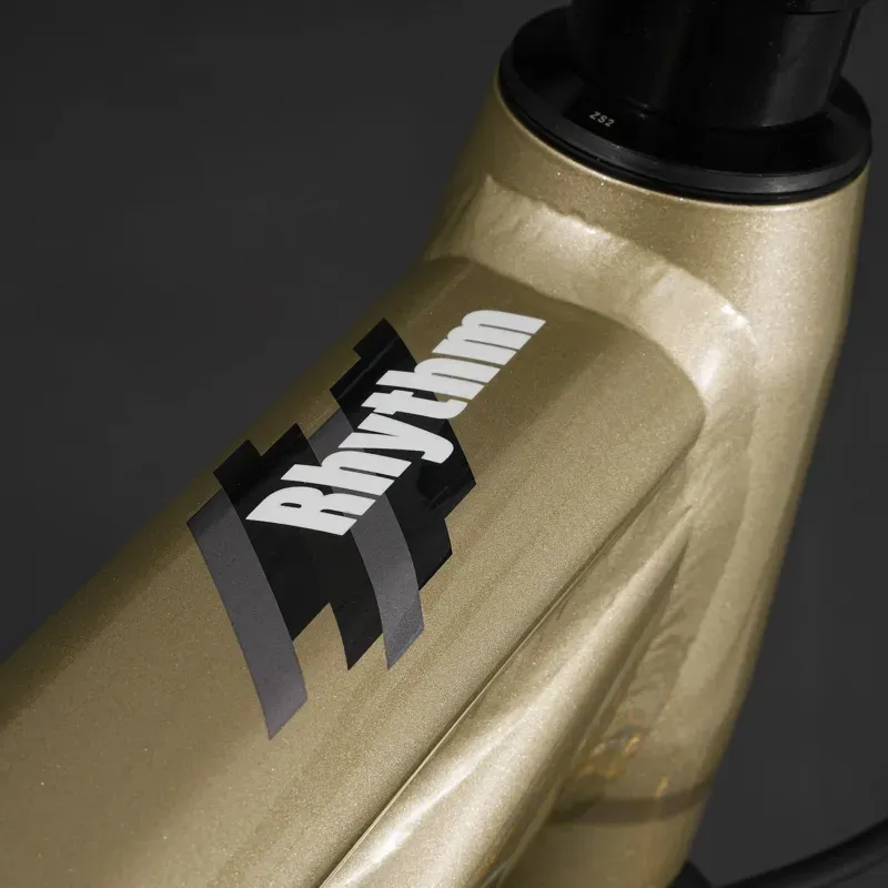 DMR Rhythm Expert 26in Mountain Bike in Sola Gold-9