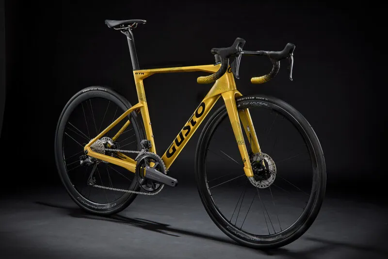 GTR PRO LEGEND Team Gold